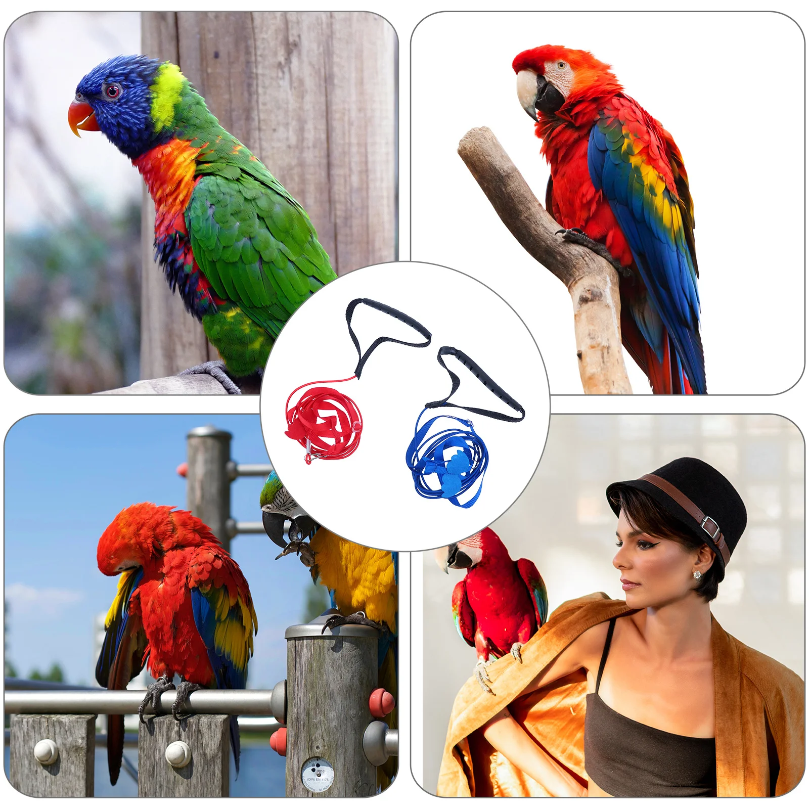 

2Pcs Adjustable Pet Bird Flying Harness Leash Durable Nylon Chew Resistant Parrot Harness Lightweight Flying Rope Outdoor Use