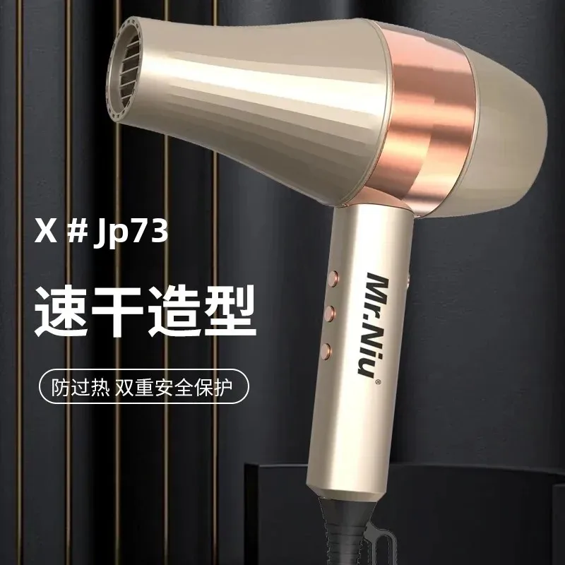 Professional Ionic Hair Dryer | Powerful Blow Dryer with Fast Heating, Hot & Cold Settings, Air Collecting Design