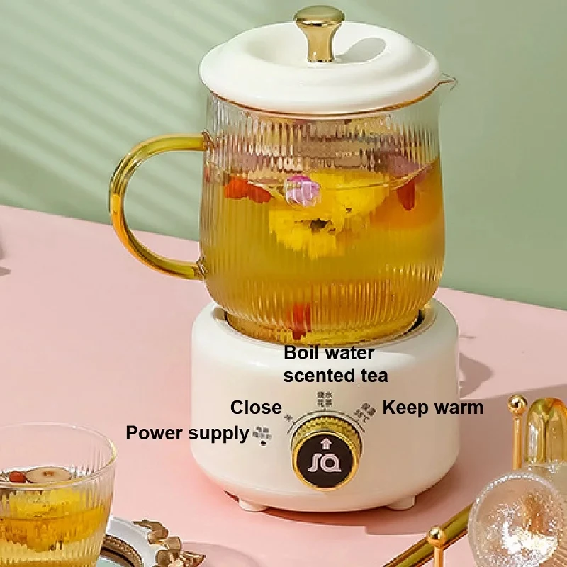 600ml Multifunctional Health Pot Portable 2 Gear Temperature Adjust Flower Teapot Office Electric Stew Cup Keep Warm Kettle 220V