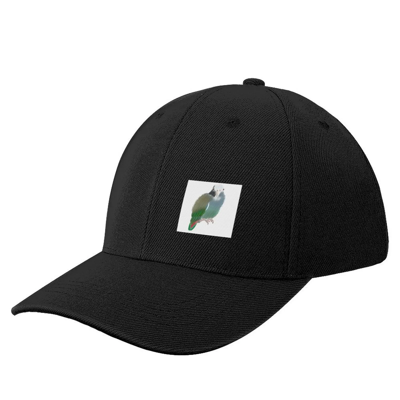 Pionus Parrot Watercolour Baseball Cap Golf Hat Streetwear Rave Beach Women's Beach Visor Men's