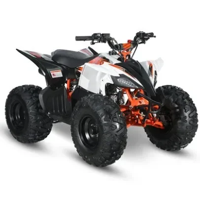 2WD Chain Drive Quad Bike 110cc Kids ATV with Differential Lock Disc Brake for Children