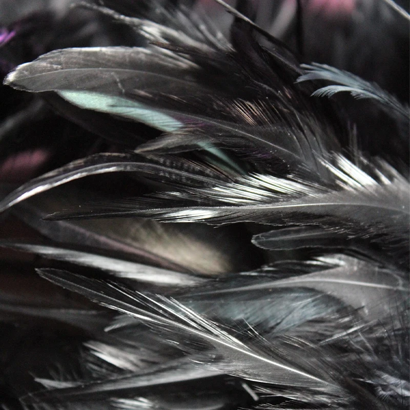

Black Chicken Feathers Trim Fringe Fabric DIY Feather Ribbon Sewing Crafts for Festival Party Clothing Creative Decoration