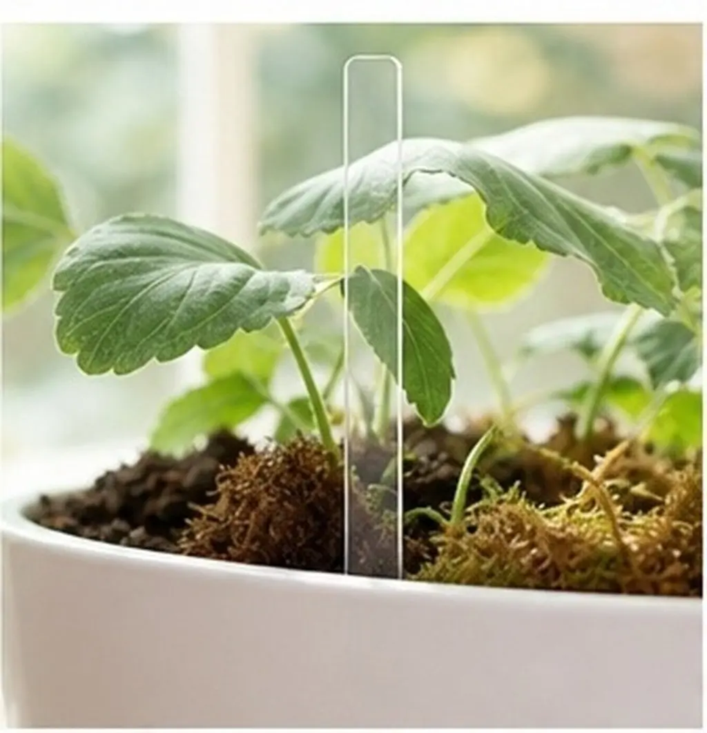 30Pcs Transparent Acrylic Plant Labels Rectangular Blanks Clear DIY Garden Markers Succulent Flower Pot Tags Luggage Name Labels