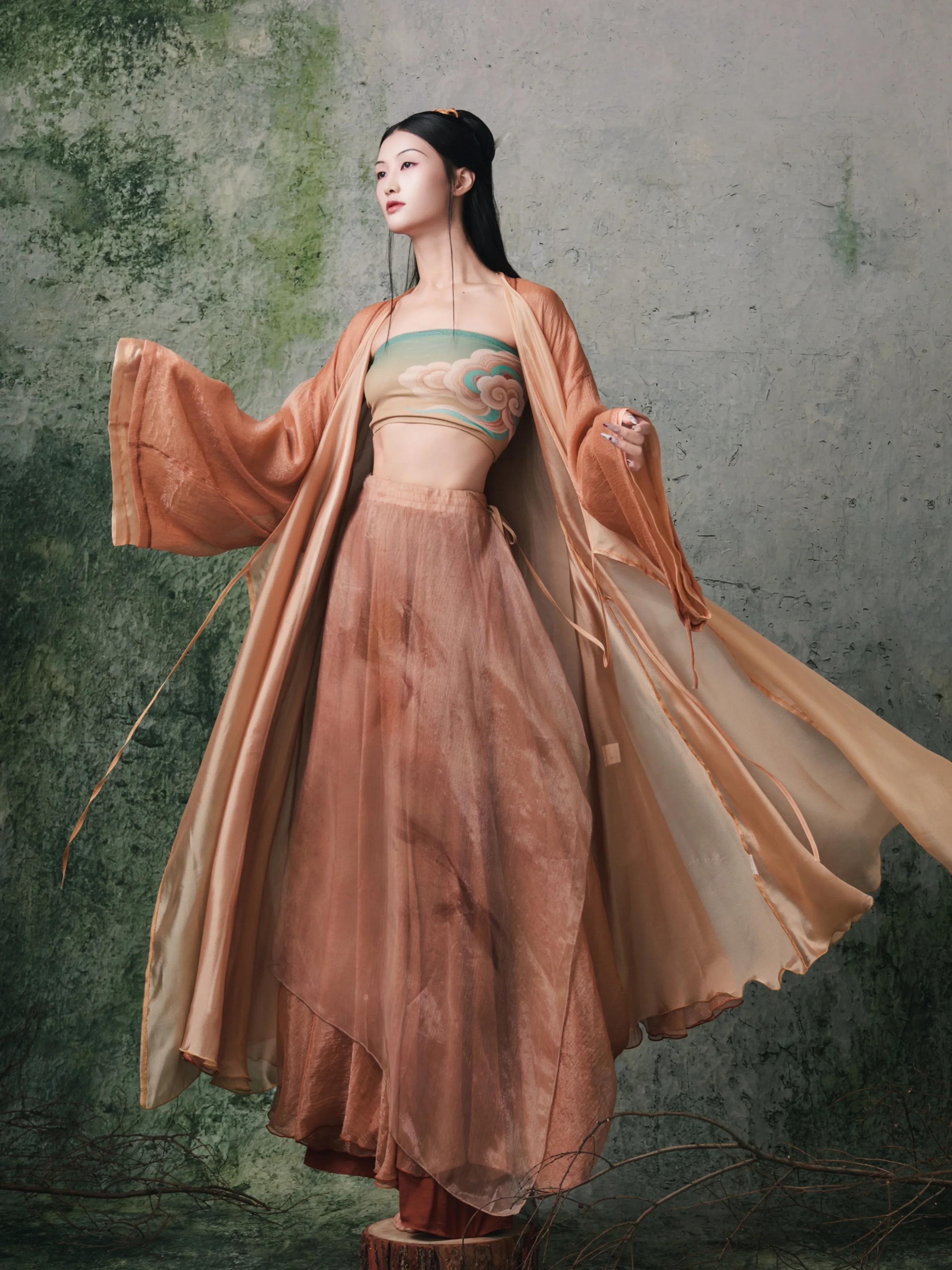 

WYZ Cover【Chrysanthemum Cloud Skirt】Ancient Style Jazz Gown Ethereal Stage Performance Costume Dancewear