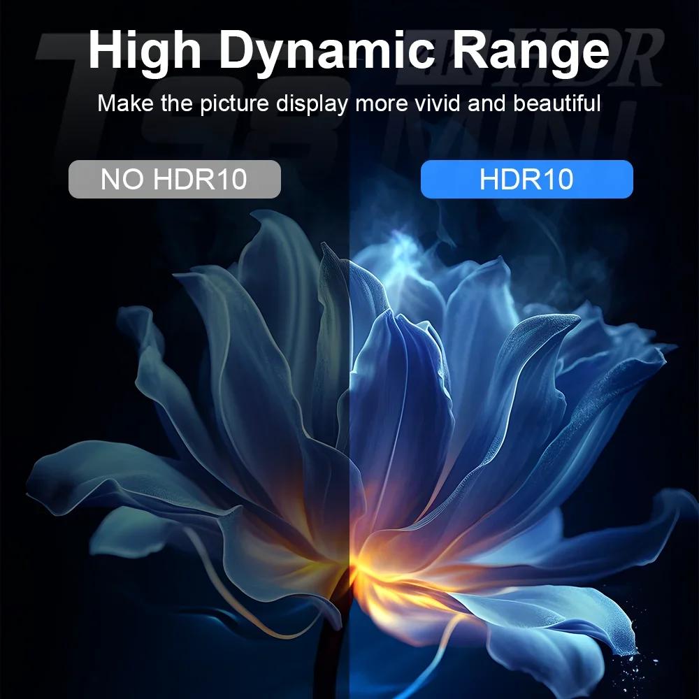 Android 13 Smart TV Stick Dual 2.4G5 Wifi Netflix Youtube 4K HDR10 Google Voice Assistant Multilanguage Streaming Media Player Q2