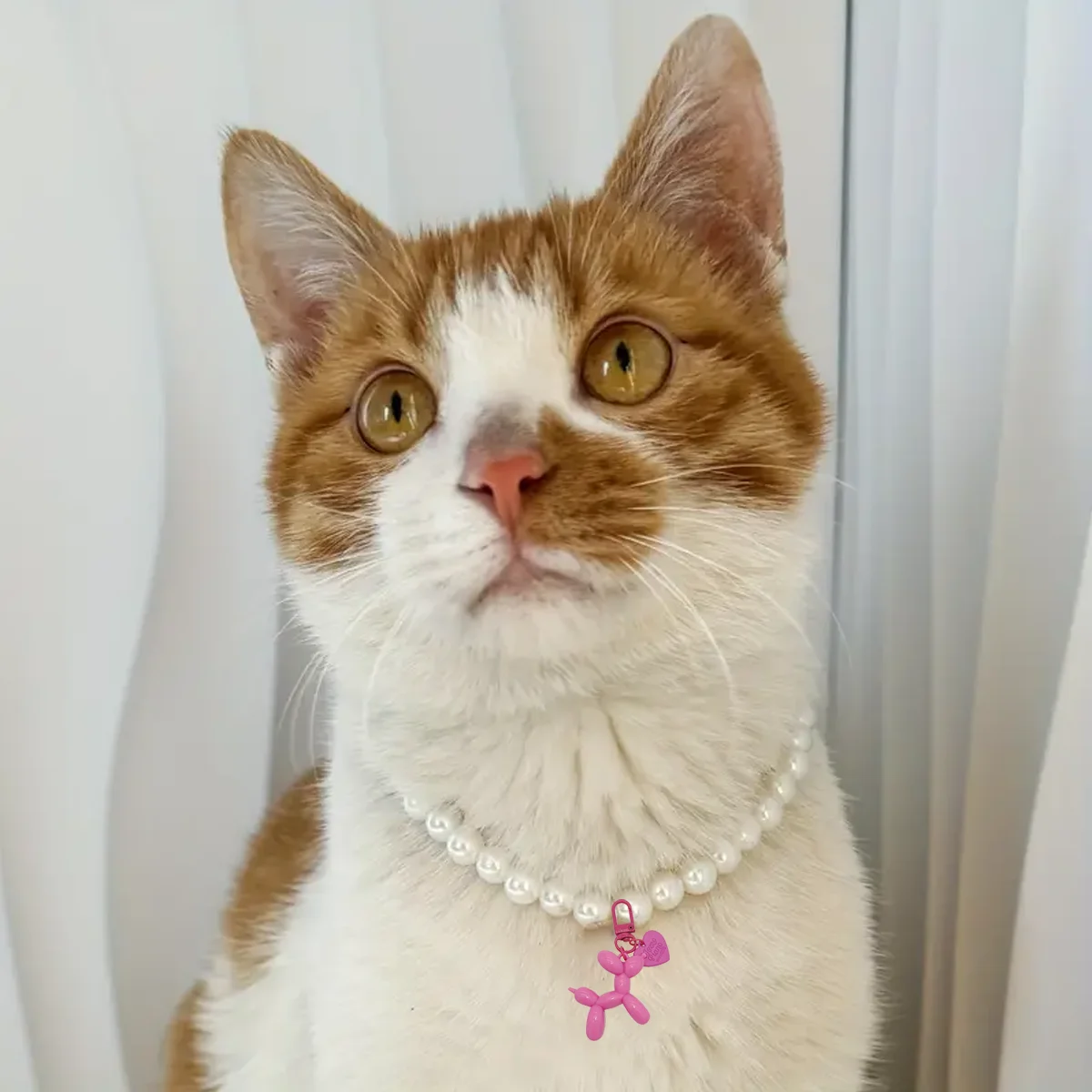 Colgante de gelatina en forma de corazón para perros y gatos - imagen 2