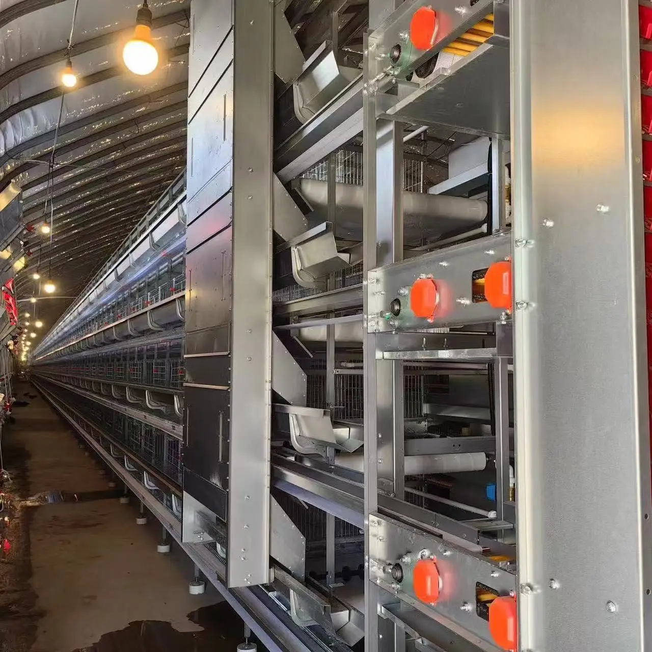 Economical Automatic Egg Collecting System for Poultry Farms Used Condition Battery Cages Layer Chickens