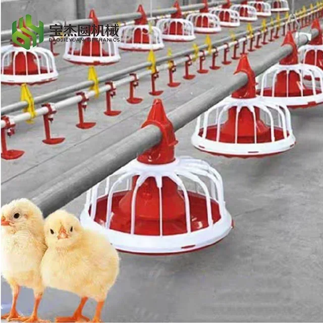 Poultry Feed Line Chicken Feeder Chicken Feeder And Food