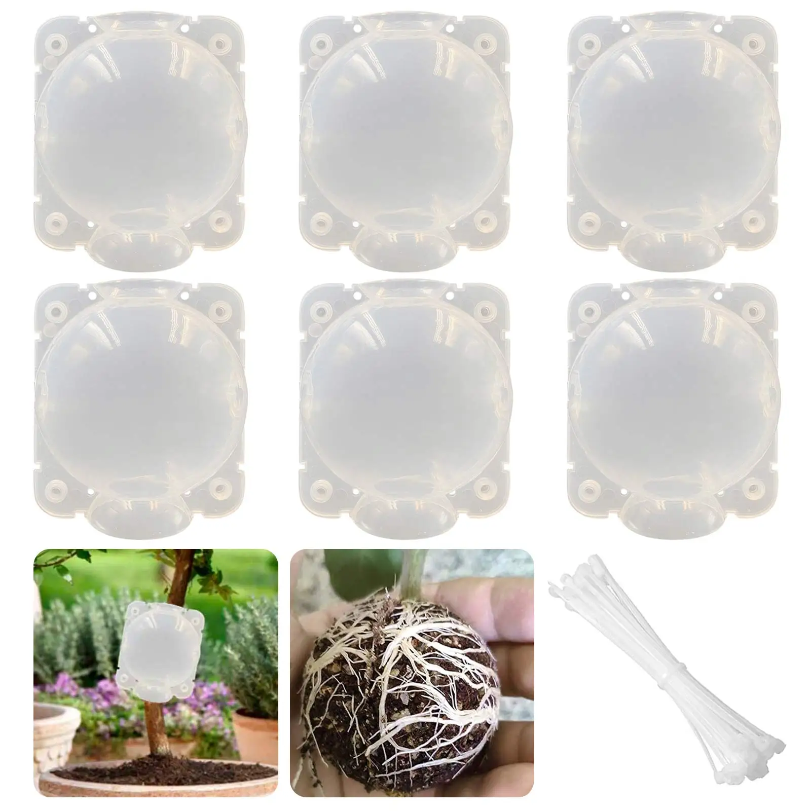 

6Pcs Plant Root Growing Box Ball Propagation Grafting Device Rooting High Pressure Box Breeding Reproduction Case with Ties