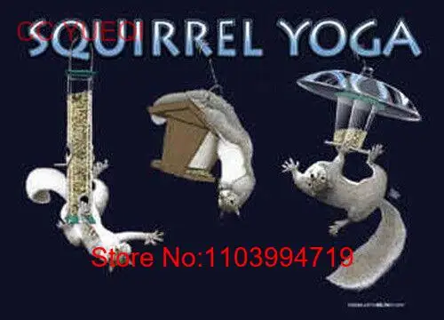 Squirrel Yoga Bird Feeder Attack NEW adult t-shirt XX, L, S Earth Sun Moon tee