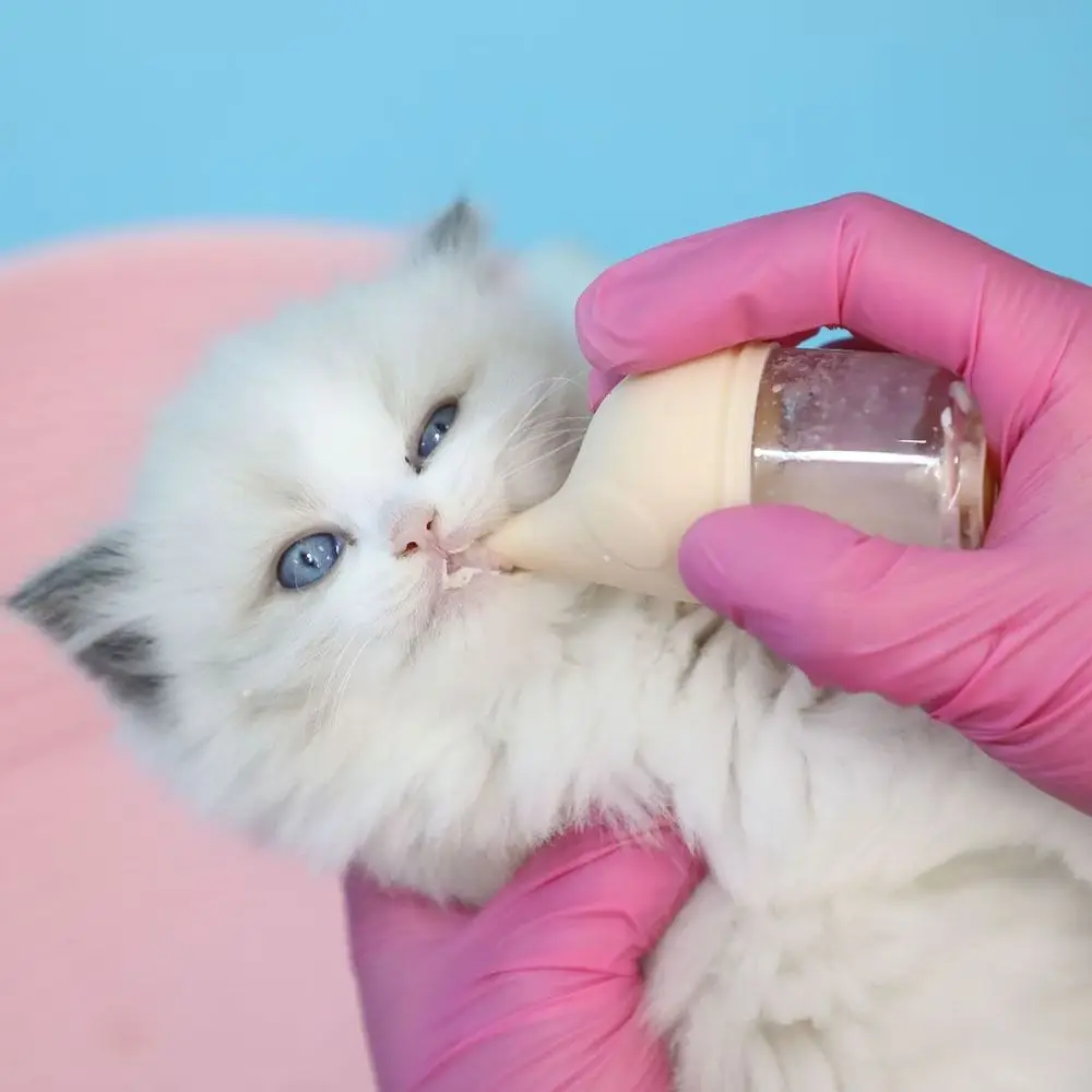 

High Temperature Resistant Pet Nursing Bottle Anti-choking Detachable Lid Design Puppies Drinking Milk Bottles Anti-slip