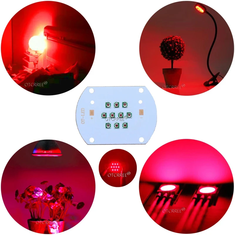 Hydroponice 30W COB led grow light chip XPE Royal Blue 450nm Deep Red 660nm  for Indoor Plant Seedling Grow and Flower