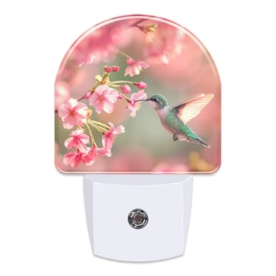 Hummingbird Cherry Blossom LED Night Light