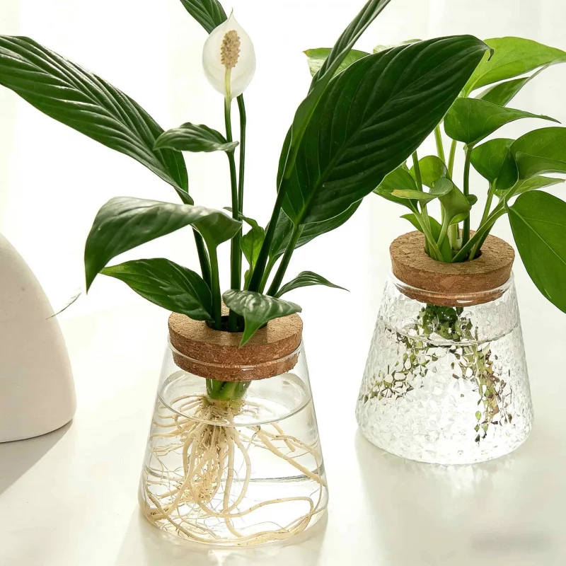 

Настольная подставка для гидропонных растений, 1-2 растения, для офиса, стеклянная емкость для размножения растений, декор для дома