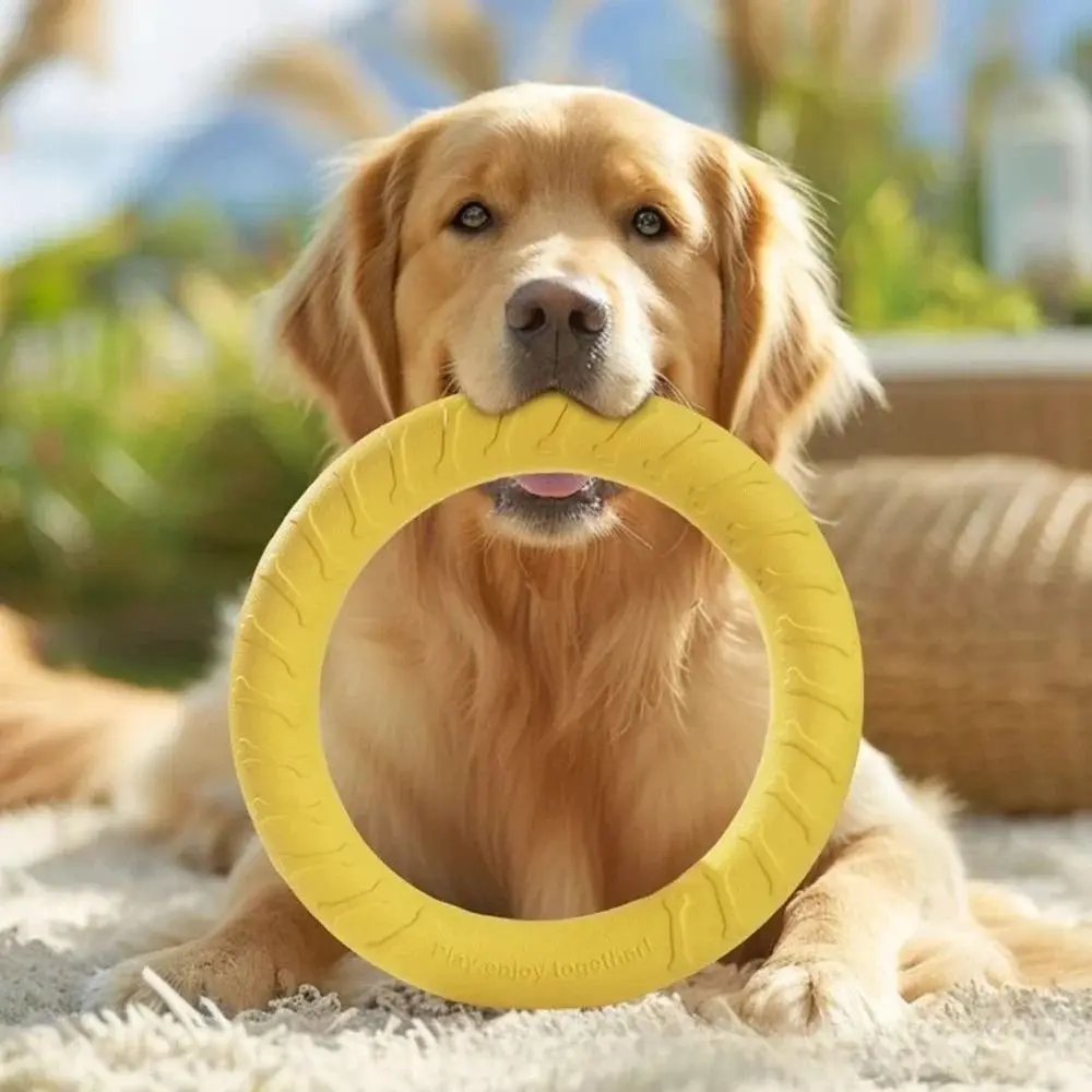 

Interactive 29cm Dog Chew Teeth Cleaning EVA Dog Chew Rings Interactive Non-Toxic Indestructible Pull Ring Tug of War
