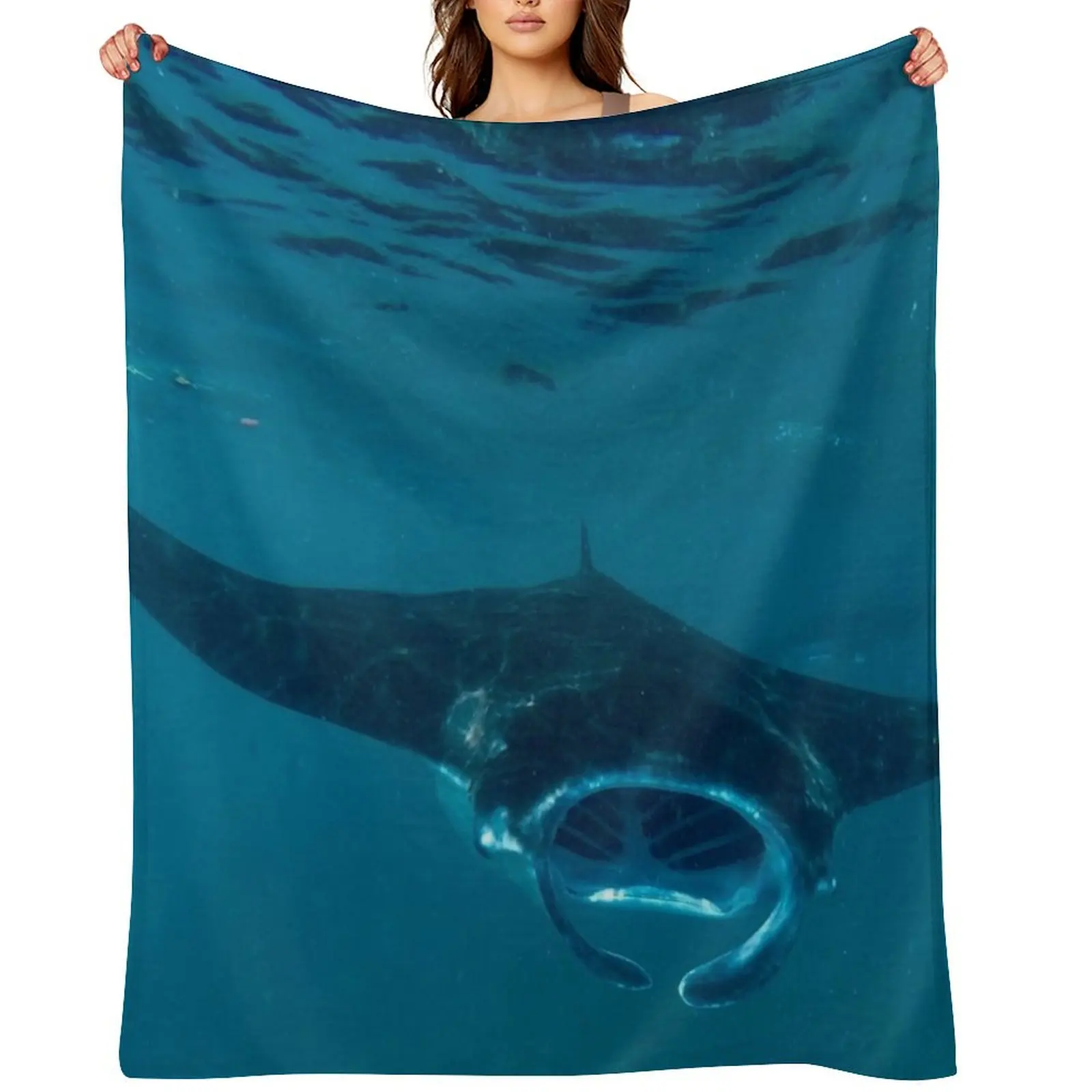 Curious Manta Ray A…