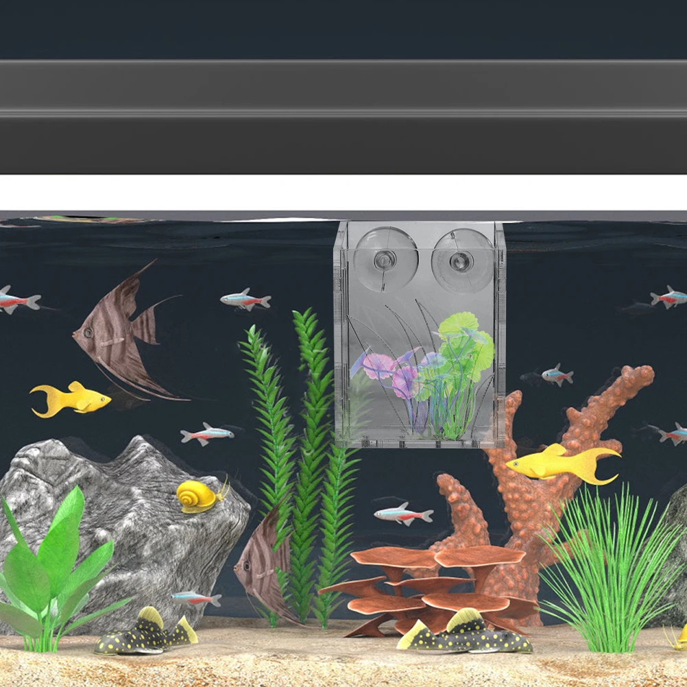 

3Pcs Aquarium Plant Holder Clear Hanging Planters for Fish Tank Suction Cup Design Versatile Aquatic Planting Cups for Water