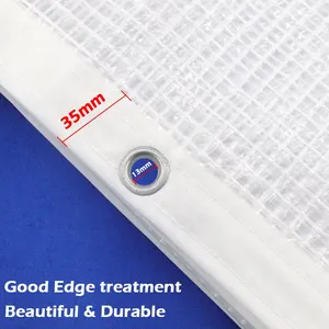 شفافة PE القماش المشمع حديقة سقيفة النباتات الحفاظ على دافئة مصبغة ، قماش مقاوم للماء ، غطاء المطر نوافذ الشرفة ، مظلة مقاومة للماء ، 0.33 مم أفضل 8 قماش مشمع لمبيعات الشرفات - رقم 7