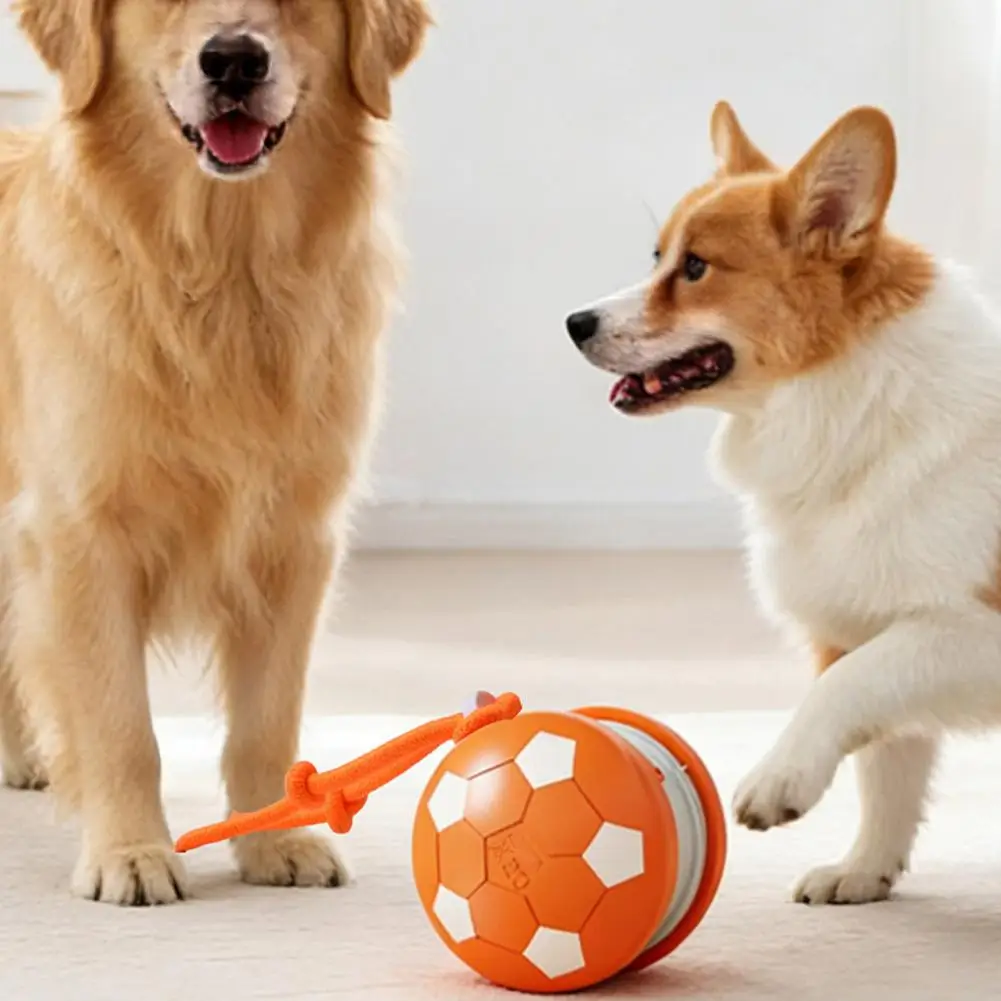 Pelota Rodante Recargable para Gatos con Cuerda, Juguete para Gatos con Cuerda en la Cola, Ejercicio para Gatitos en Interiores, Alivio del Aburrimiento, Carga USB, Juego Rodante