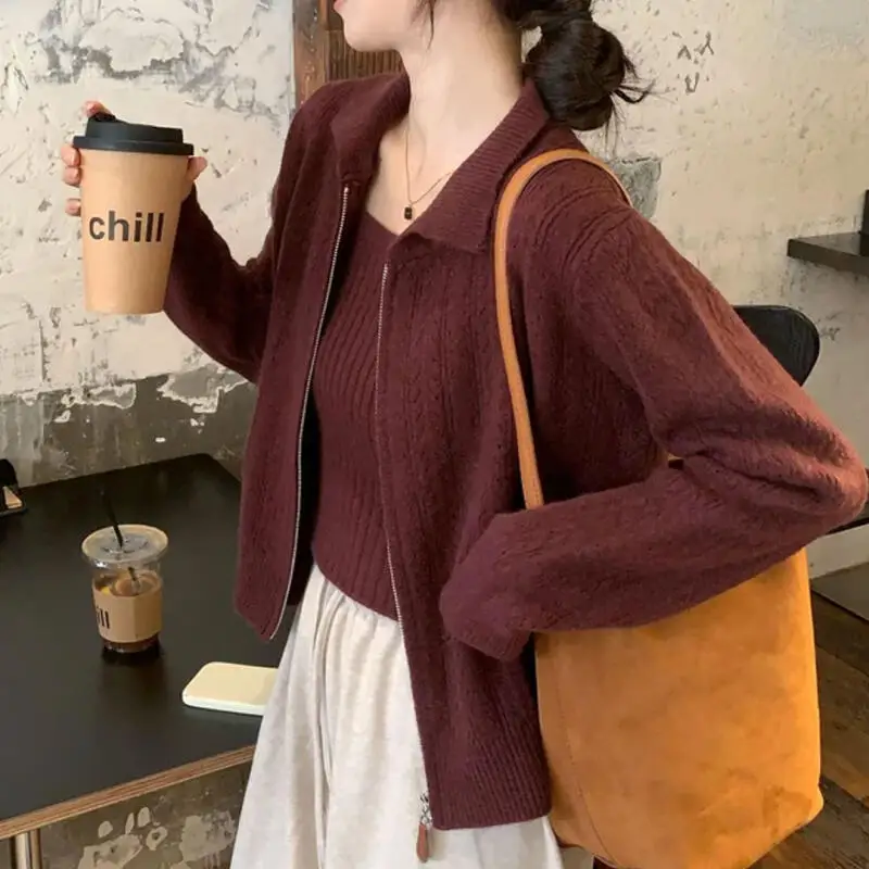 เสื้อสเวตเตอร์ เสื้อแจ็คเก็ต เสื้อกล้าม เสื้อกั๊ก ชุดเซ็ตสองชิ้น เสื้อคลุมถัก เสื้อไหมพรม เสื้อคลุมแขนยาว เสื้อโค้ท สีพื้น ฤดูใบไม้ร่วง ฤดูหนาว เสื้อถักพื้นฐาน