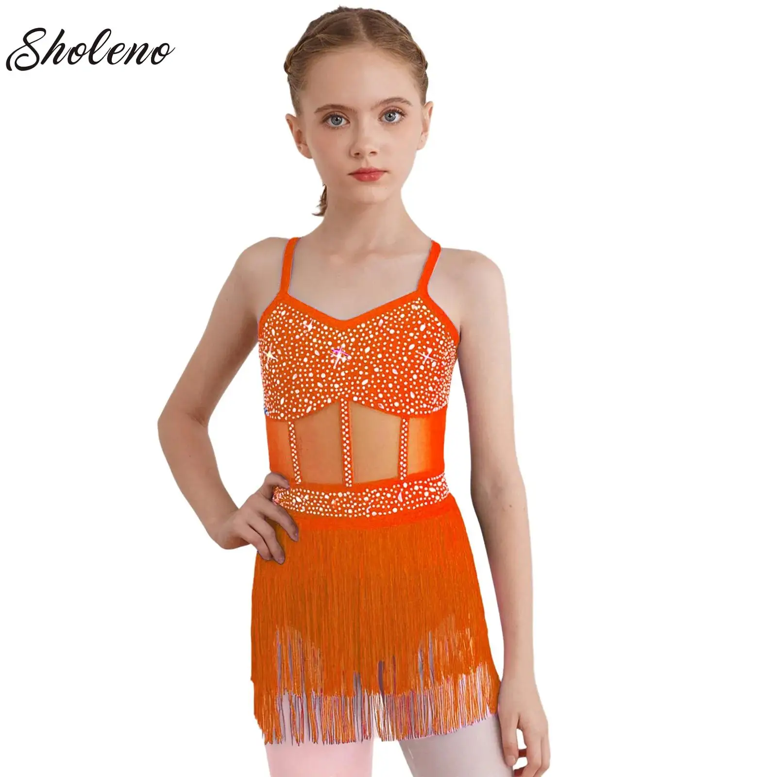

Girls Tassel Gymnastics Leotard Bodysuit Rhinestones Latin Dance Costume Ballet Tango Jazz Performance Fringed Leotard Dresses