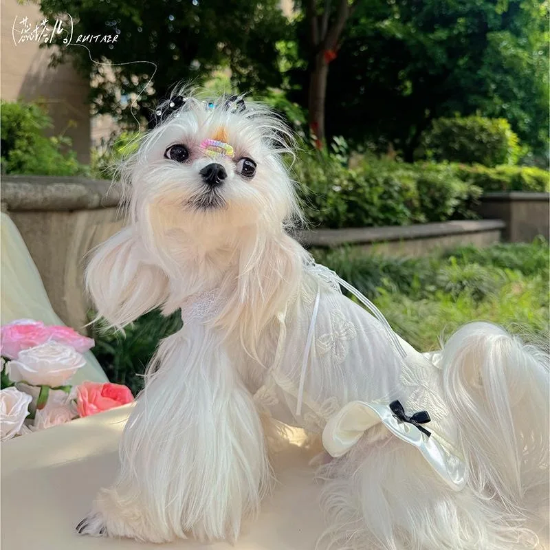 Summer Black White Sling Lace Pet Dog Clothes Pet 4-Legged Jumpsuit Lightweight Breathable Summer Dog Outfit