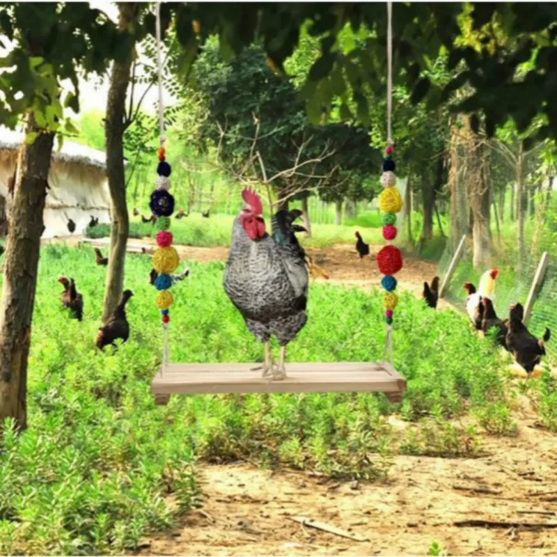 

2PCS Medium and Large Parrot Swing Pet Chicken Swing Suspension Bridge Ladder Pet Bird Toys