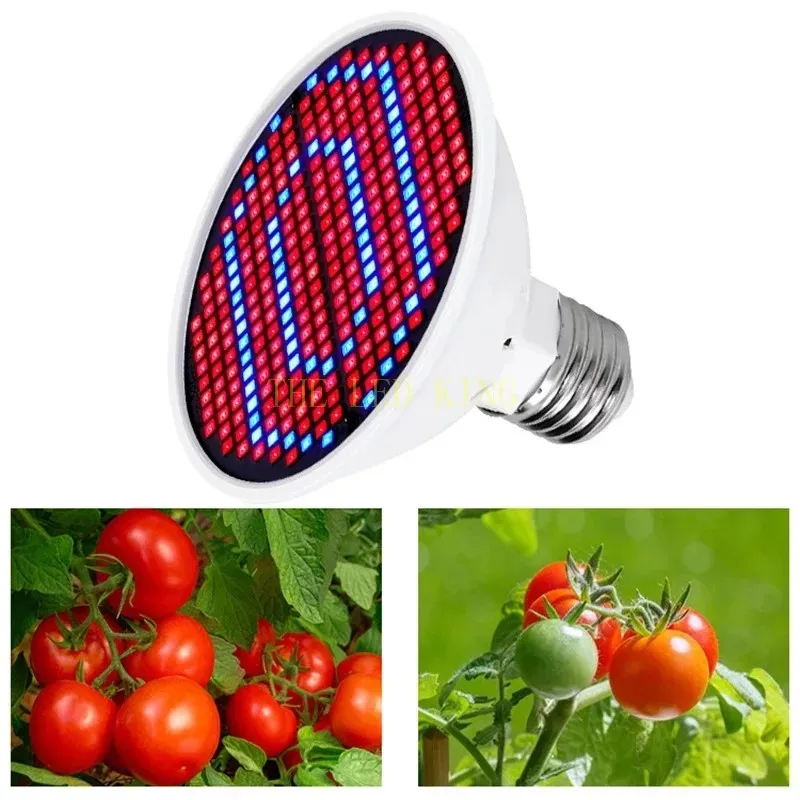 전체 스펙트럼 LED 성장 빛 E27/B22 식물 빛 Fitolamp 실내 묘목 꽃 Fitolampy 성장 텐트 상자
