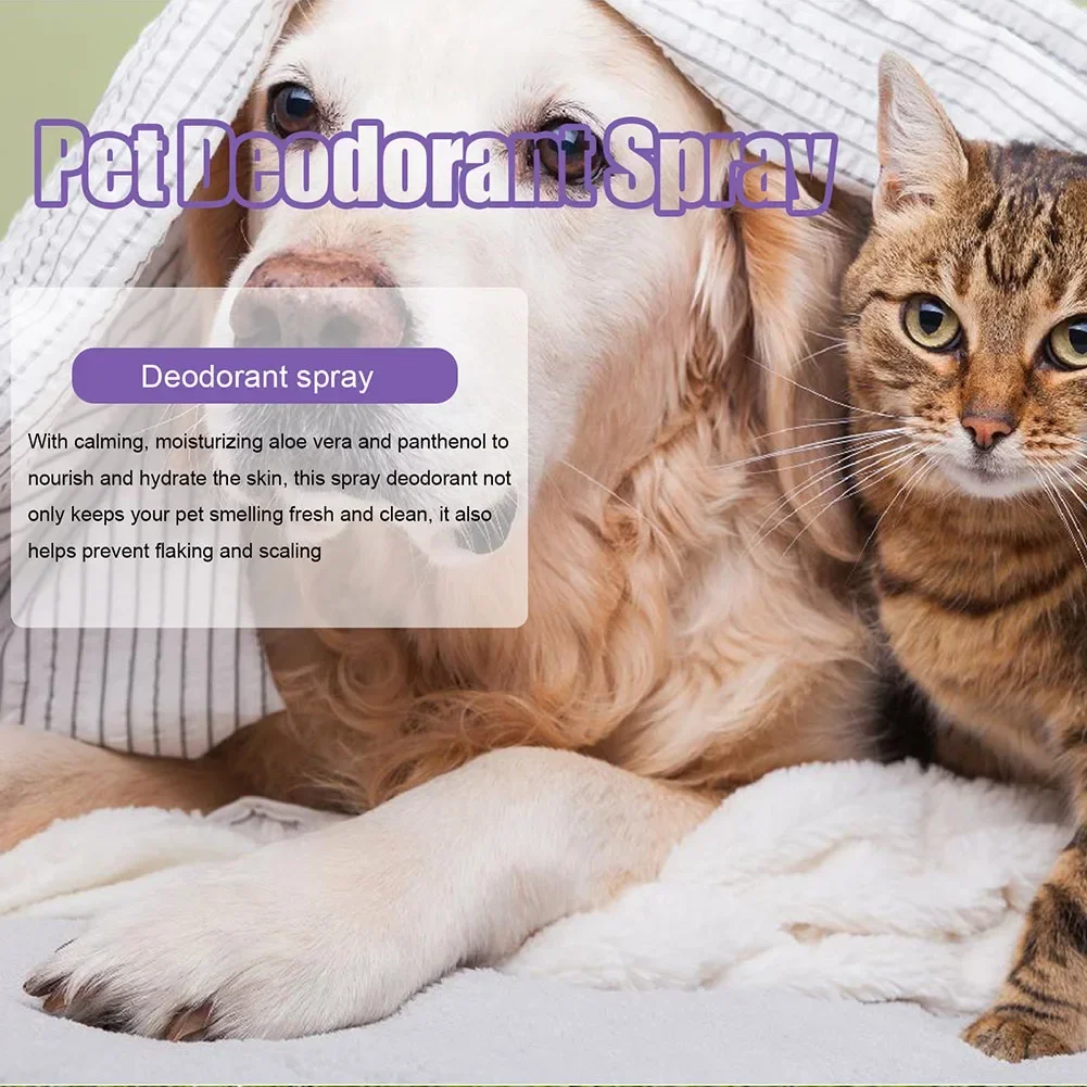 Desodorierungsspray für Haustiere, 50 ml, Hundeparfüm, Lavendelöl, Desodorierungsspray, Anti-Juckreiz, duftendes Schönheitspflege für Katzen und Hunde – Detail 8