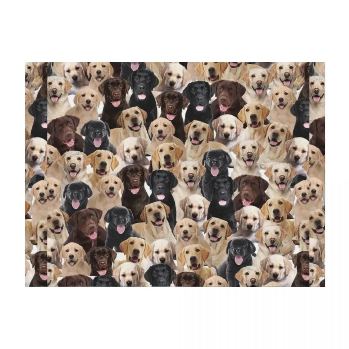 

Labrador Throw Blanket Stuffeds Camping christmas gifts Soft Big Blankets