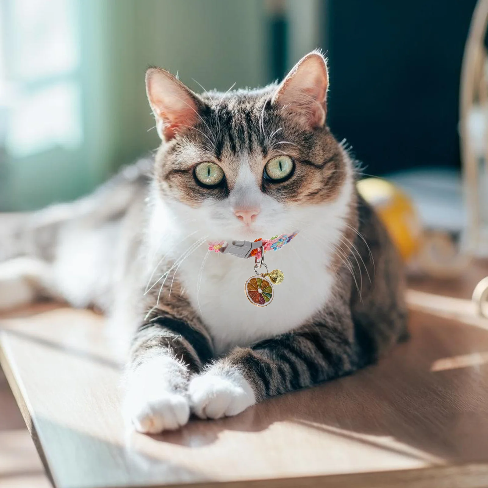 

Lovely Colorful Lace Collar Adjustable Pet Cat Dog Comfortable Lightweight Fashion Decor for Daily Wear Special