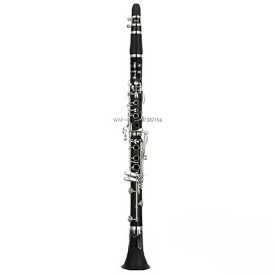 

Standard Bb Clarinet YCL-200DR Child Adult Performed by