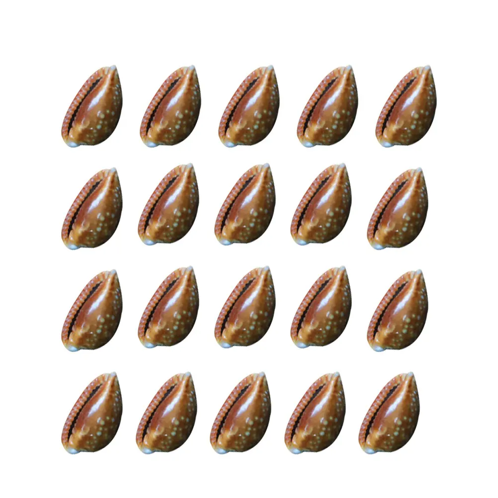 

20 Pcs Natural Safflower Conch naments Lightweight Safe DIY Jewelry Accessories for Micro L Decor Pendant