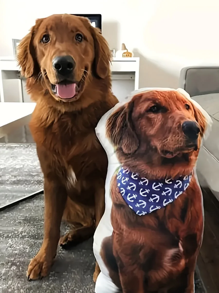 Individuelles Modernes Haustierkissen mit Beidseitigem Digitaldruck, Personalisiertes Katzen- und Hundefoto-Kissen