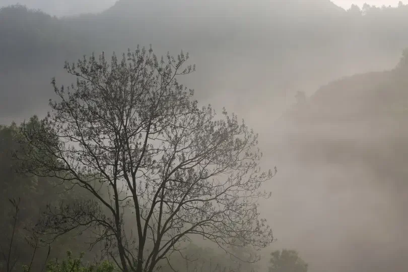 

7,4 В 6800 мАч литий-ионный аккумулятор 2S2P для T188 2011-5 T888 V007 H18 C18 пульт дистанционного управления RC рыболовная приманка лодка аккумулятор