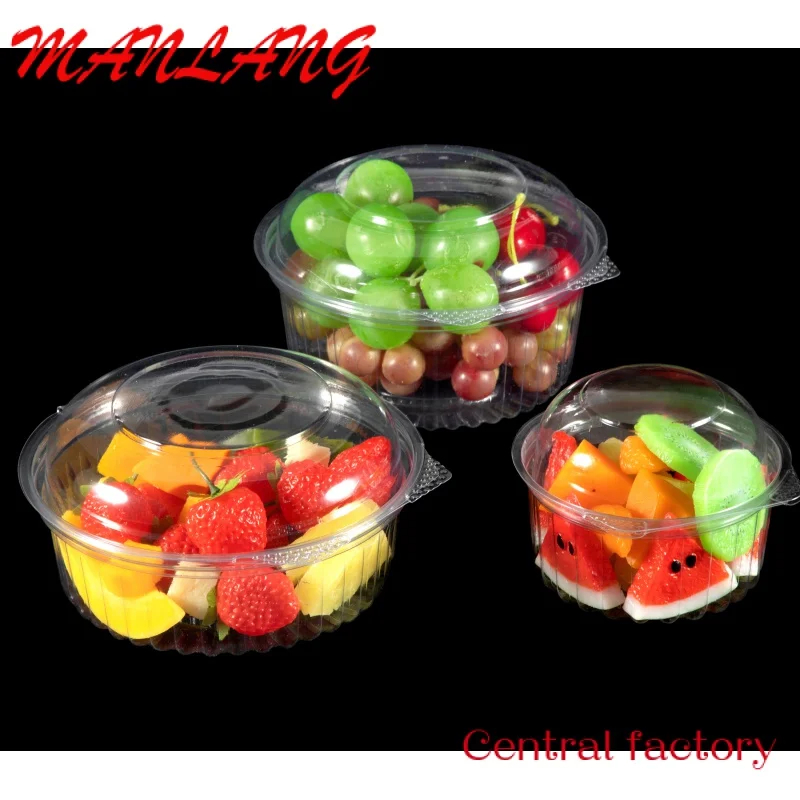 Custom  12 24 32 oz Disposable PET Packaging Container Plastic Multiple 1 2 3 4 Compartment accept custom Supermarket Fruit Sala