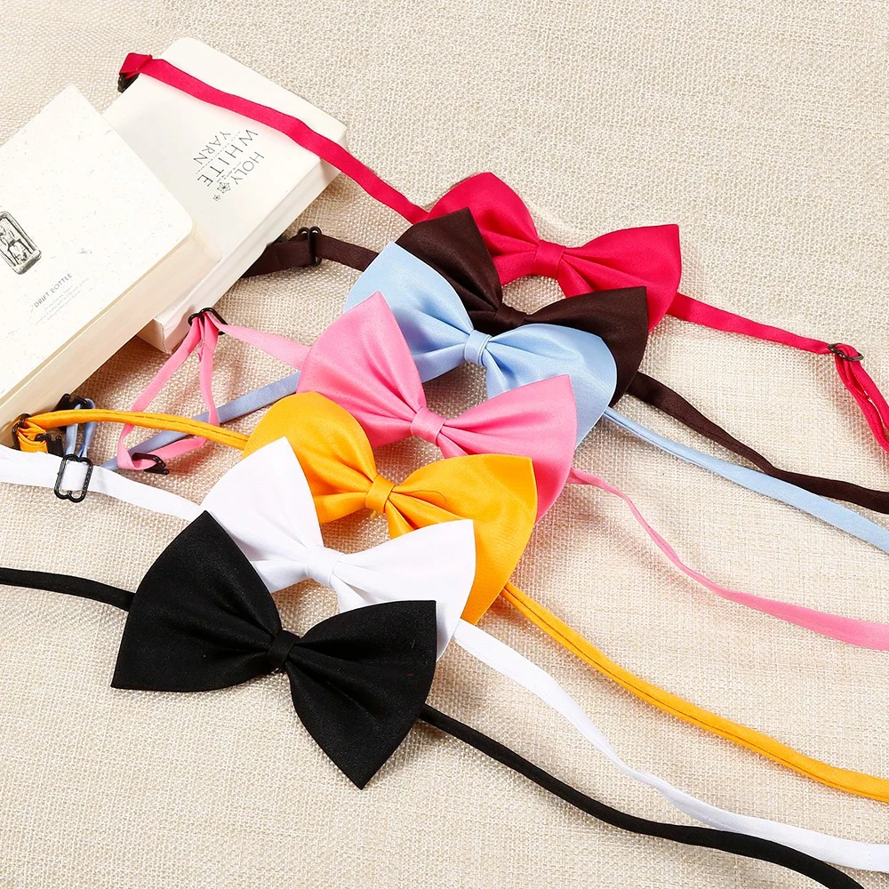 Thumbnail 3 - #11 Compare Puppy Collars Before You Buy