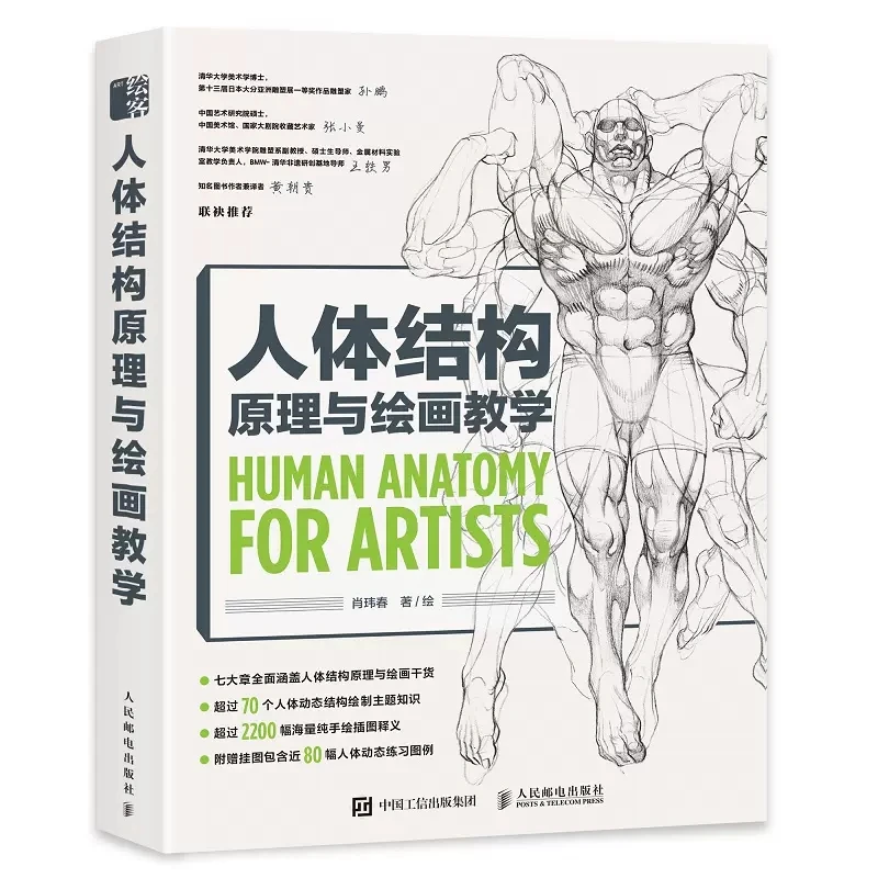 

New Principles of Human Body Structure and Painting Teaching Book Human Body Structure Basic Tutorial Books