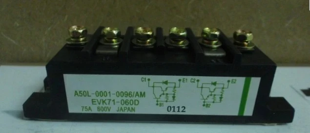 Brand New Original  EVK71-060D EVK71-060 Module. Fast Delivery