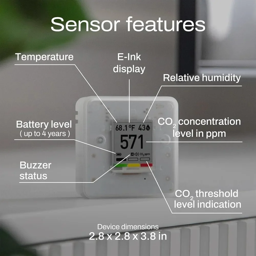 Home: Wireless Indo…