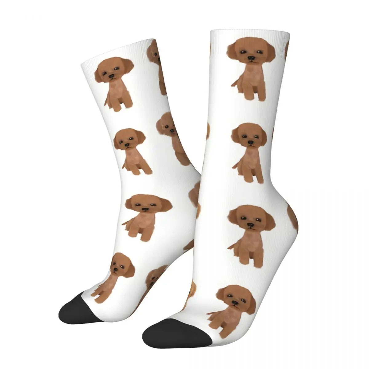 Poodle Cute Sitting Dog Men Women Socks Cycling Novelty Spring Summer Autumn Winter Stockings Gift