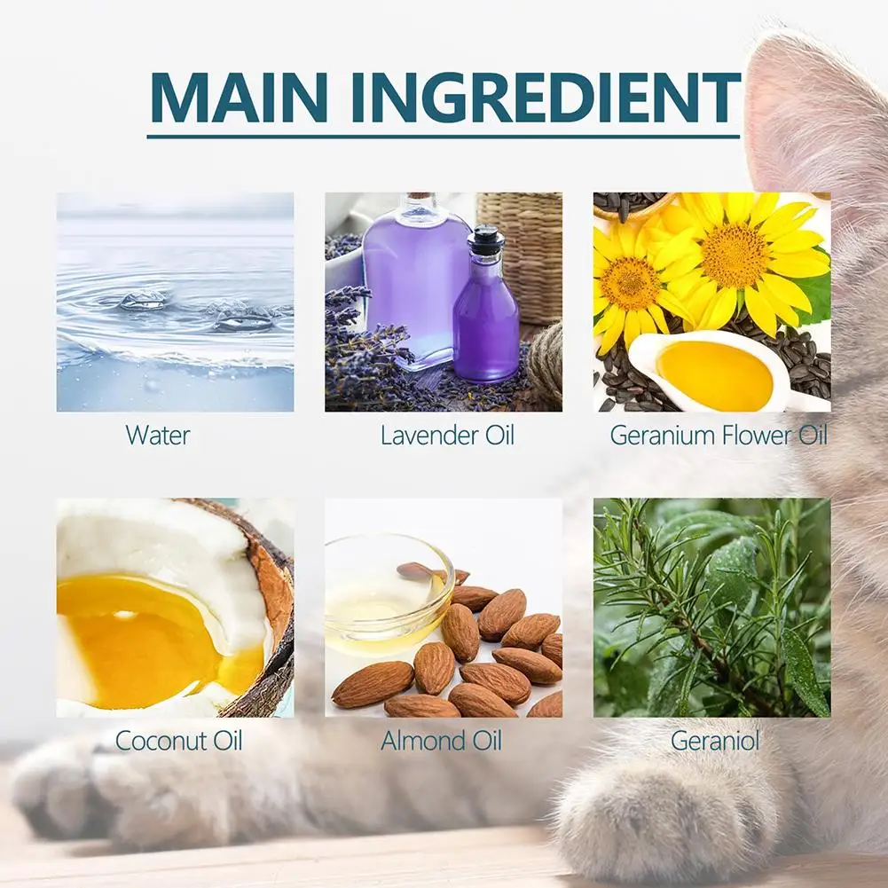 Thumbnail 3 - #1 Cheap Pet Flea & Tick Controls Worth Buying