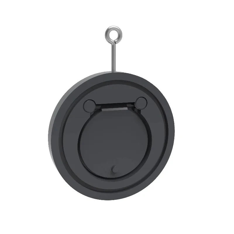 PVC 밸브 PVC 스윙 체크 밸브 웨이퍼 체크 밸브 2인치에서 8인치