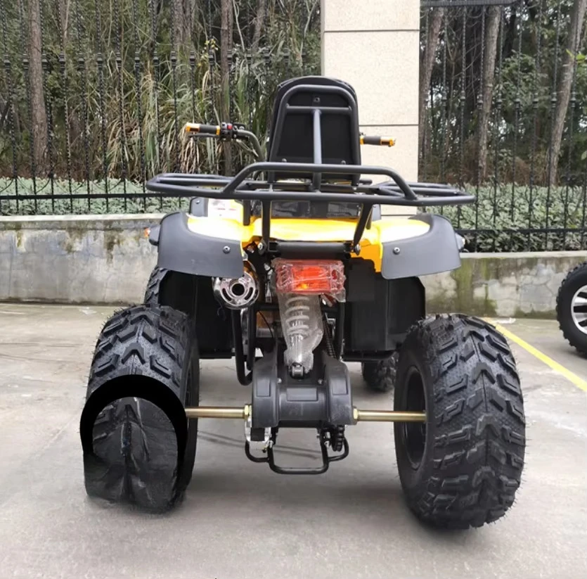 Immagine 5: ATV e Moto da Cross - Quad a Quattro Ruote con Motore a 4 Tempi