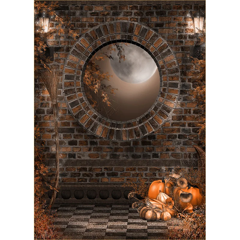 Goth Fairy Tale Old Palace Bookshelf Arch Window Baby Portrait Backdrop Halloween Photo Backgrounds 21610DGP-01