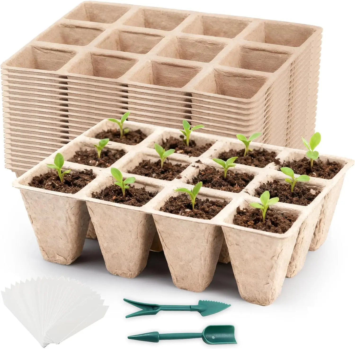 

Набор биоразлагаемых лотков для рассады на 240 ячеек с этикетками для растений и садовыми инструментами - 20 штук в упаковке