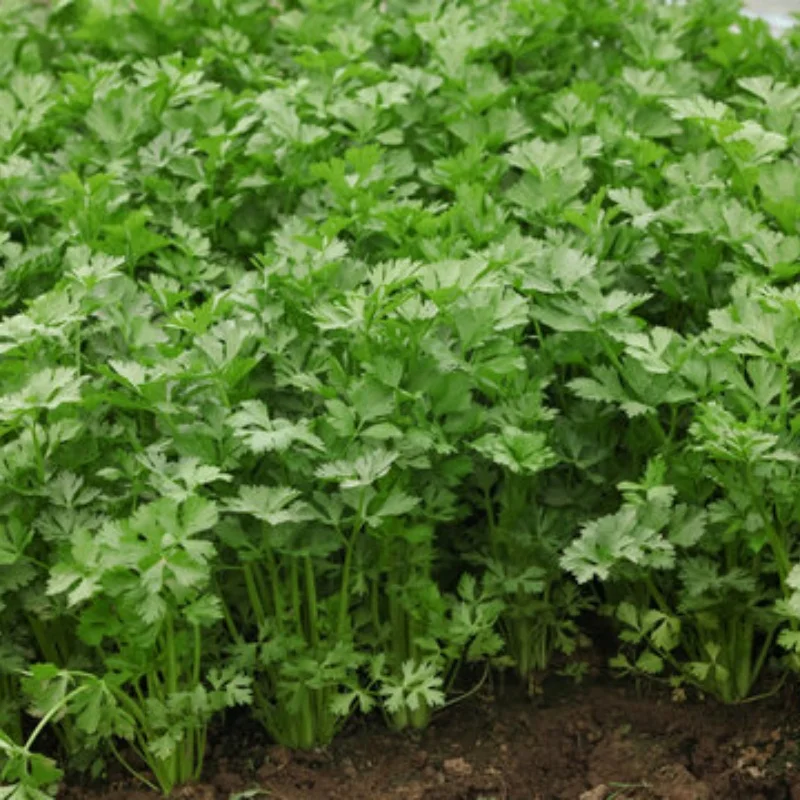 Mn82S 1/16 جهاز التحكم عن بعد على الطرق الوعرة RC نموذج سيارة التسلق غير المدمرة تعديل المصد الأمامي مع التحكم عن بعد ضوء الضباب #1