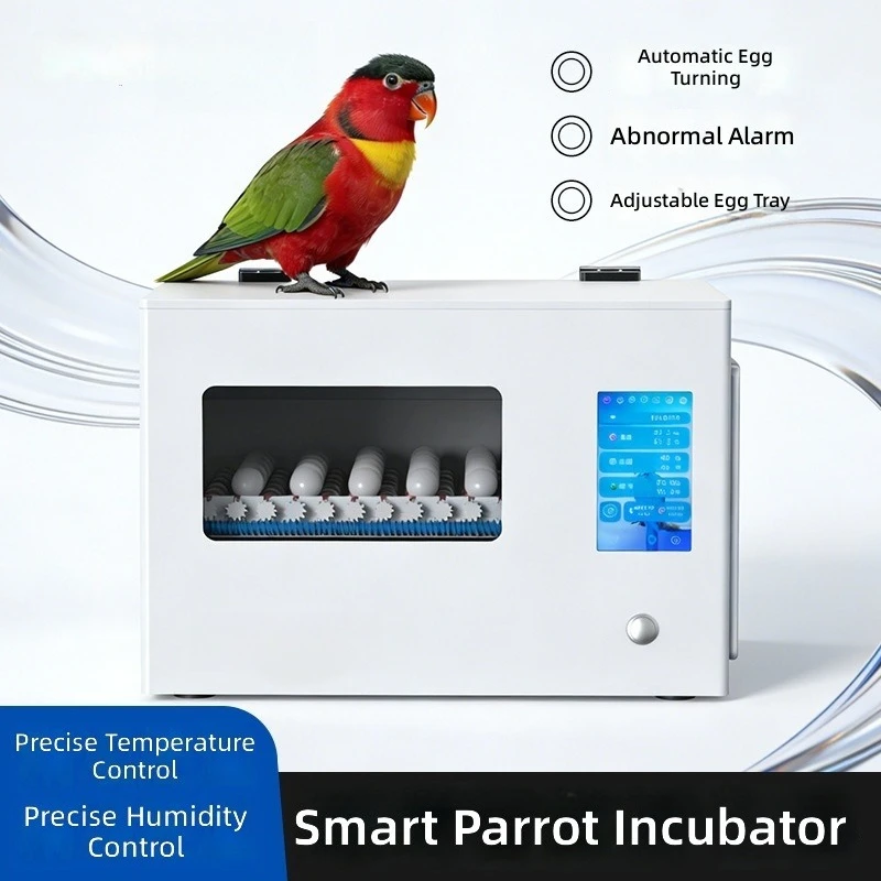Automatic Incubator, Small Home Smart Egg Hatcher for Parrot Bird Eggs, Chick Incubation Box