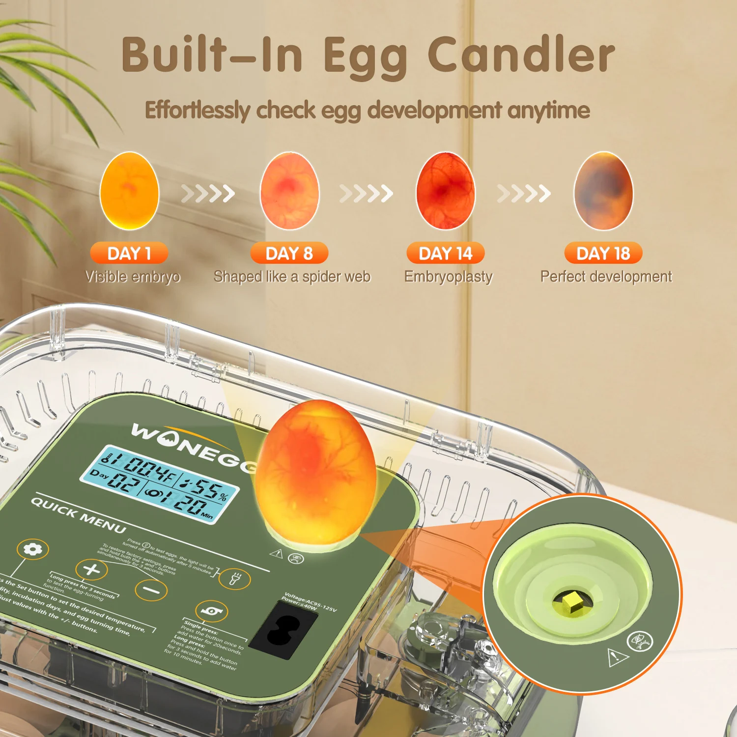 12 Eggs Incubator For Hatching Eggs, Temp And Humidity Control, 360°View Auto Water Adding, Egg Candler Egg Turning Countdown Ha