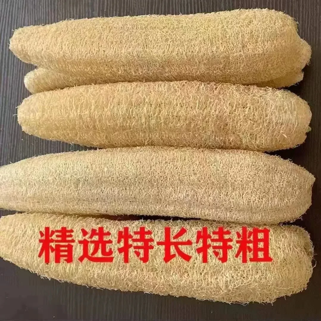 length 31-35cm